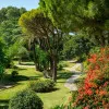 Don Carlos Marbella