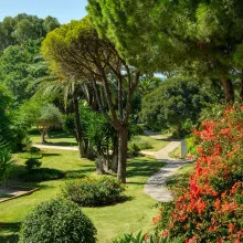 Don Carlos Marbella