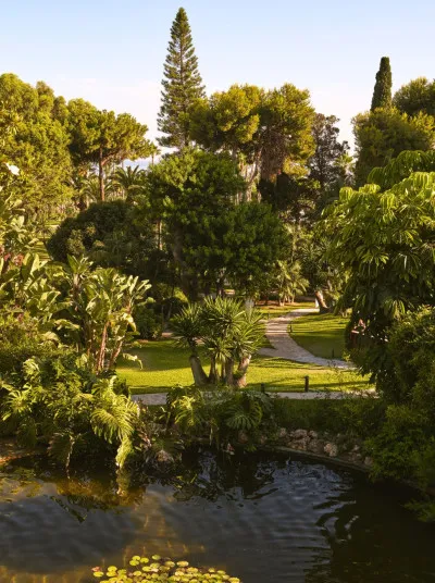 Don Carlos Oasis Benefits